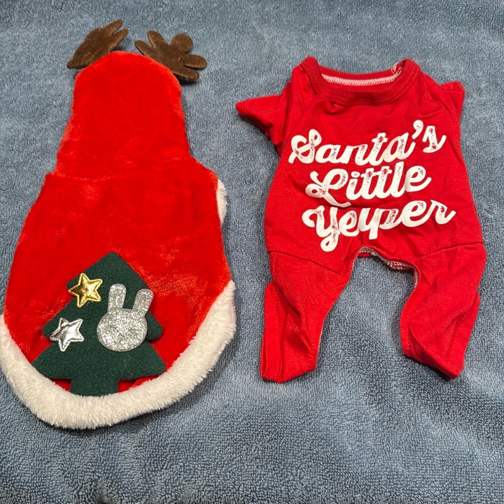 Puppy Christmas jacket and pajamas